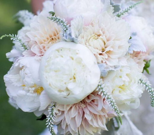 Dahlia005.jpg