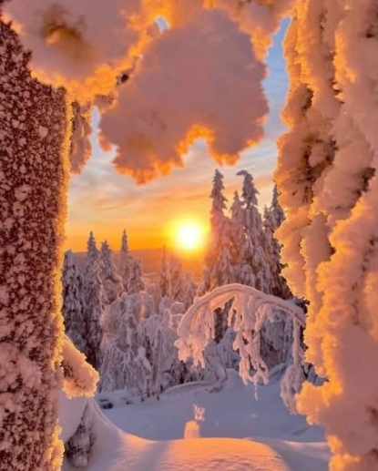 neige1.jpg